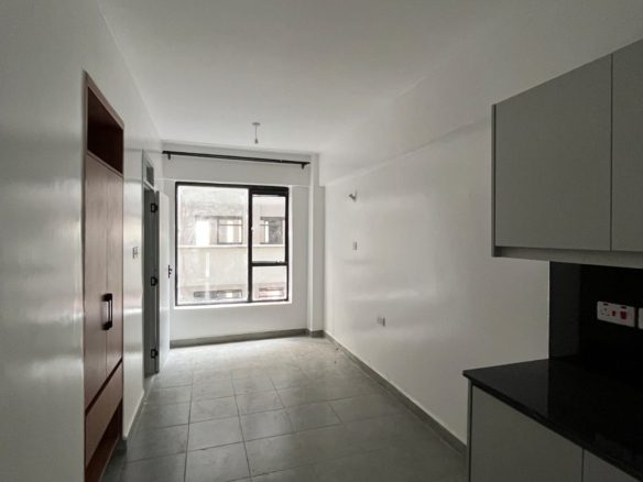 Tsavo Sunset Phase 2 – Superior Studio Apartment for Rent in Thindigua (Near Laceup Sports Centre) - D310