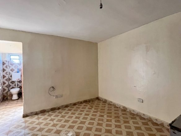 1 Bedroom Apartment for Rent near Mike's Green Shopping Centre, Dagoretti Road, Satellite (#10106122508) - Peter