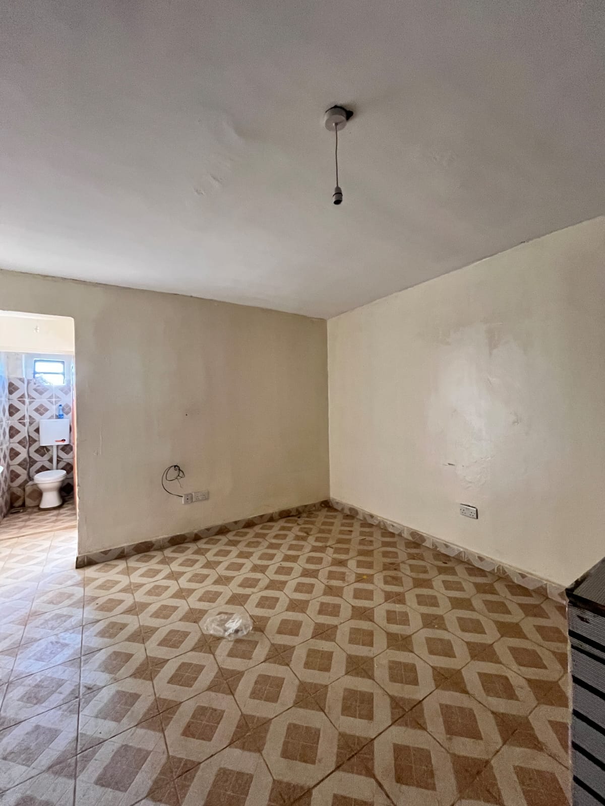 1 Bedroom Apartment for Rent near Mike's Green Shopping Centre, Dagoretti Road, Satellite (#10106122508) - Peter