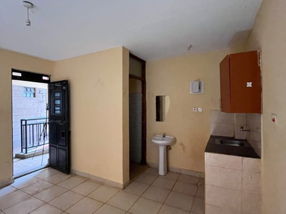 Oneki Bedsitter/Studio for Rent near East African Breweries Ltd, Ngumba Lane, Garden City (#10331012602)