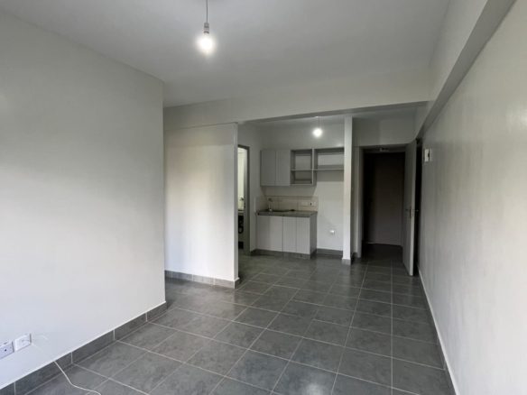 Muzi Stawi 1 Bedroom Apartment for Rent near Garden City Mall, Thika Road, Garden City (#10331012601)