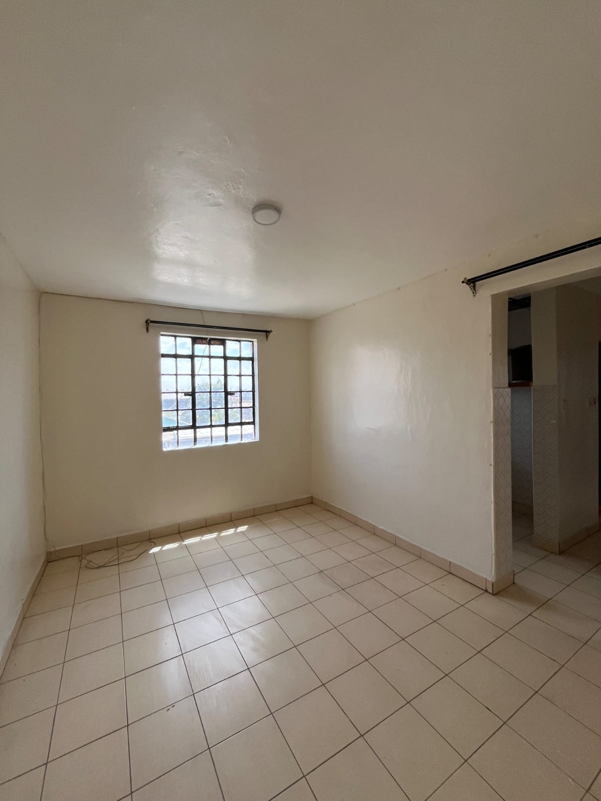 WhatsApp Image 2026-02-16 at 13.01.31