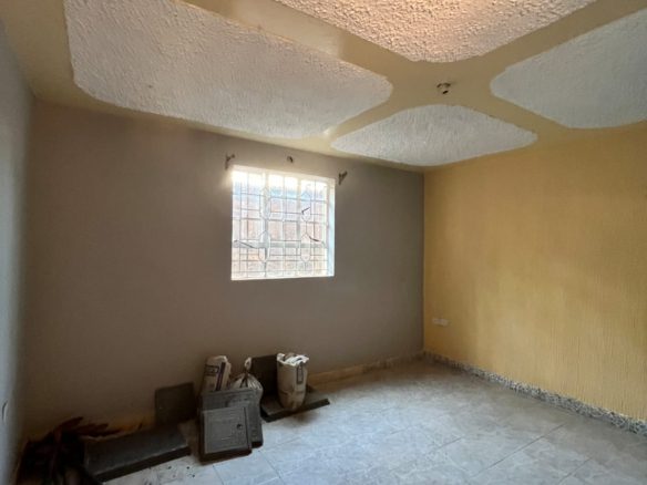 Boston 2 Bedroom Apartment for Rent near Pork, Limuru Road, Ruaka (#10312022601)